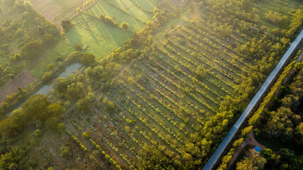 Asia Country Farmland With sunrise sky from drone aerial view with animal housing infrastructure.