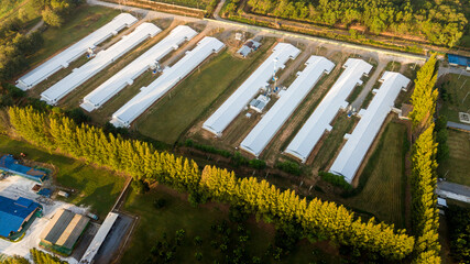 Asia Country Farmland With sunrise sky from drone aerial view with animal housing infrastructure.