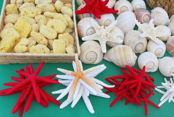Fototapeta na wymiar Sea shells, natural sponges and starfish, souvenirs in a market shop, Gallipoli, Apulia, Puglia, southern Italy
