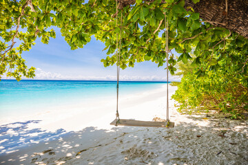 Wooden swings under the trees at Tachai Island beach Similan Islands Phang Nga, Thailand