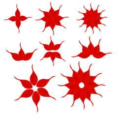 red petals and simple flowers for design and creativity