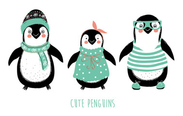 Set of vector cute penguins. Penguins character. Polar penguins