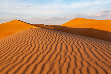 Impressive ripples in red dunes of Wahiba Sands desert in Oman in warm late afternoon light