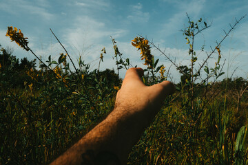 hand holding a grass