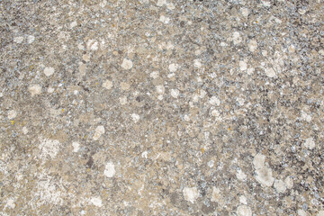 stone and grey cement bottom