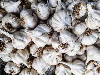 White garlic is kept in a basket. It is the garlic of cultivated land.