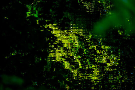 Refection of the green leaves of tree on the water surface of a river © David