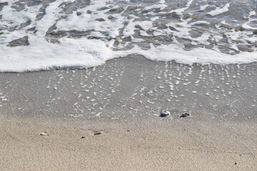edge of the ocean