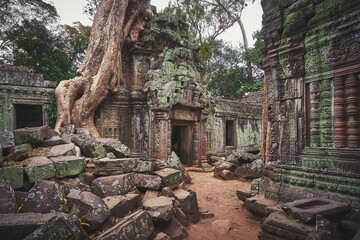 Obraz premium Ruins of Ta Prohm khmer temple in Angkor Thom 