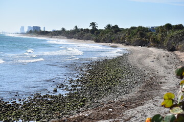 John U. Lloyd Beach State Park © More Than Words