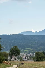 Foto op Canvas View on a small mountain village in Slovenia © Jasper
