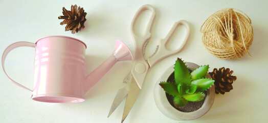 Flat lay of gardening tools including scissors, watering can, jute,  succulent against white wooden background. Spring work. Gardening practice. DIY.