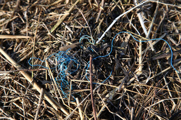 Detail Aufnahme vom Küstenschutz an der Nordsee, voll mit Plastik Müll