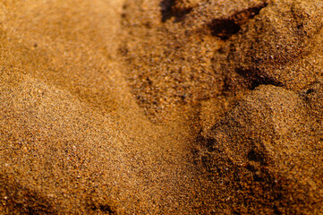 close up of cinnamon powder
