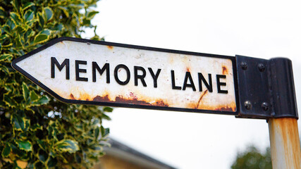 Sign post to Memory Lane - conceptual image of progressive dementia and alzheimers in a panoramic...