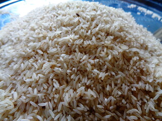 Thick rice cultivated in Bangladesh