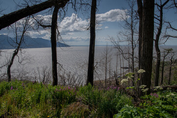Mountains, sea and forest at the Turnagain Arm, near Anchorage, Alaska