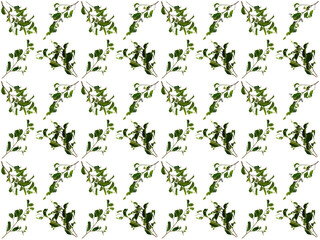 Leaves or Foliage pattern with a white background. Beautiful leaf pattern.
