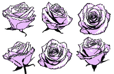 black and pink halftone points roses set