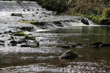 waterfall in the forest