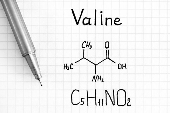 Chemical formula of Valine with pen.
