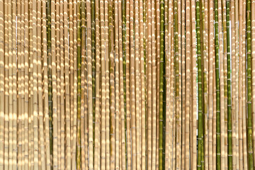 Bamboo background and backdrop battens are arranged to the wall partition and fence in the morning with sunlight.
