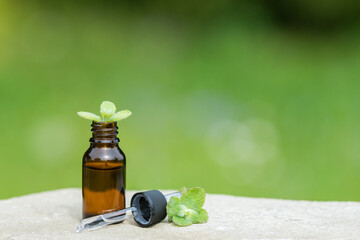 Mint, essential oil with a pipette