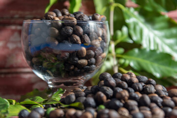 Green and roasted coffee beans (Coffea sp) in glass bowl on wooden rustic background