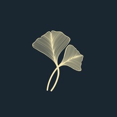 Ginkgo biloba leaves illustration, Hand drawn leaves, line art, modern, digital art, decor
