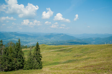 Fototapeta na wymiar View of the summer Carpathians