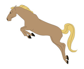 Fototapeta na wymiar horse vector illustration, color illustration, vector