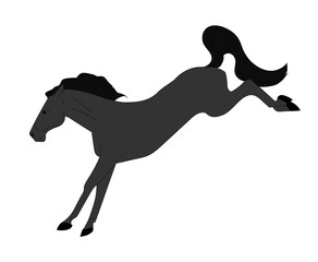 horse vector illustration, color illustration, vector