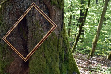 Ramka na drzewie. 