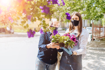 Experienced woman florist helping female client to choose potted plant in flower shop.Females owner of floral shop and consumer inprotective masks in faces.Lockdown, quarantine, back to normal concept