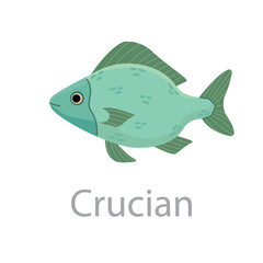 Cute green fish crucian carp vector flat illustration. Marine animal swimming isolated on white background. Colorful cartoon clipart for design.