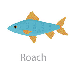 Cute blue roach fish vector flat illustration. River animal swimming isolated on white background. Colorful cartoon clipart for design.