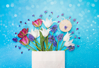 Pink and white tulips on bright blue background.Blue floral background. Celebration concept