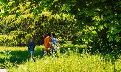 Family (young couple with daughter  back view) make promenade in Vincennes forest of Paris, France at lockdown. Healthy lifestyle, togetherness concepts. Selective focus on herbs at foreground. © Elena Dijour