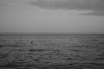 Obraz premium Swimming in black and white sea