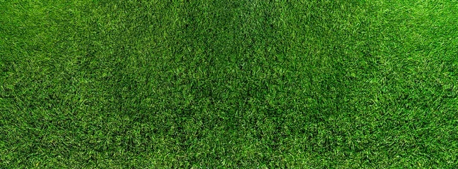 Fotobehang wide directly above shot of fresh green grass or lawn, lush grass background © Christian Horz