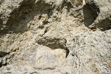The surface of the rock.