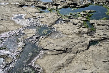 The rocky land near the sea.