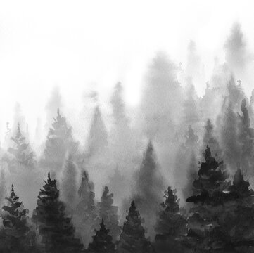 Foggy monochrome forest. Minimalist landscape. Watercolour illustration on white background.