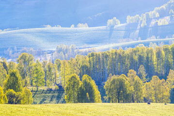 Picturesque spring view, green forests and meadows in the morning light