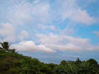 Obraz na płótnie Canvas Clouds and sky vegetation