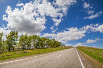 Fototapeta premium The road along the forest, spring meadows and fields, the countryside.