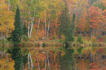 Autumn landscape of the shoreline of Alberta Lake with mirrored reflections in calm water, Ottawa National Forest, Michigan’s Upper Peninsula, USA