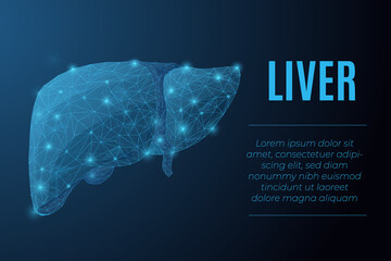Futuristic glowing low polygonal anatomic model of human liver made of stars, lines, dots, triangles isolated on dark blue background. Medical and anatomy concept. Modern wireframe vector illustration