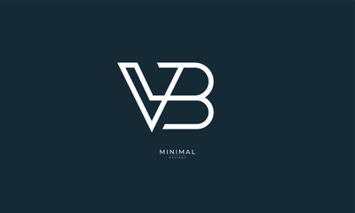 Alphabet letters icon logo VB