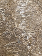 Salt and sea, Dead sea 